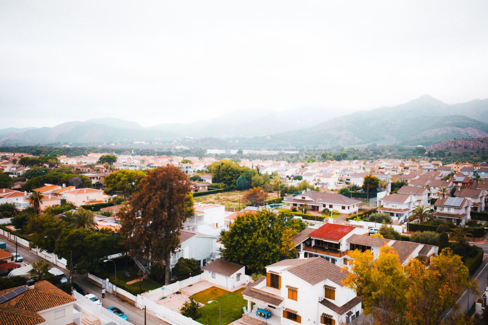 Scenery in Montecito